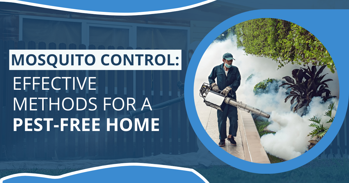 Mosquito Control: Effective Methods for a Pest-Free Home | Revamped Pest Management